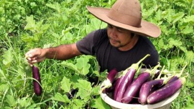 Wisatawan pergi, pengusaha muda Bali mengincar masa depan yang berkelanjutan