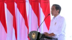 Jokowi minta kementerian bantu pemulangan jenazah Eril ke Indonesia