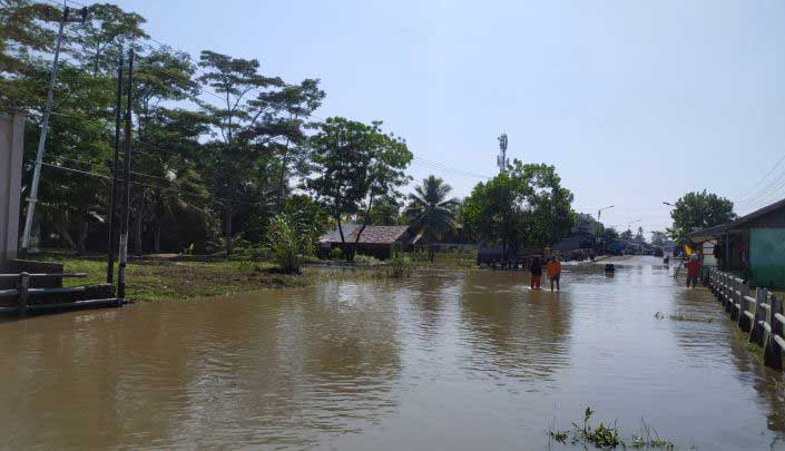 Hujan yang terus menerus dan deras menyebabkan banjir di Kota Bengkulu, Kabupaten Seluma, Kabupaten Bengkulu Tengah, dan Kabupaten Bengkulu Selatan di Provinsi Bengkulu.