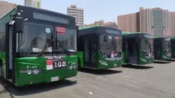 Bus Shalawat 24 Jam di Makkah: Jemaah Haji Wajib Hafal Nomor Rute agar Tidak Tersesat