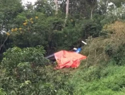 Helikopter Jatuh di Kalbar: 8 Orang Tewas, Termasuk Pilot dan WNA Malaysia