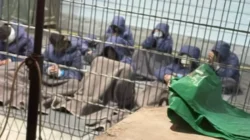 Israel Masuk Daftar Hitam PBB untuk Kekerasan Seksual, Hubungan dengan Sekjen Guterres Putus