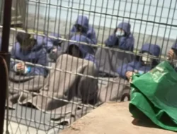 Israel Masuk Daftar Hitam PBB untuk Kekerasan Seksual, Hubungan dengan Sekjen Guterres Putus