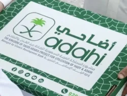 Kemenhaj Tegaskan Pembayaran Dam Jamaah Haji Hanya Lewat Adahi, Dilarang Beli di Pasar Hewan